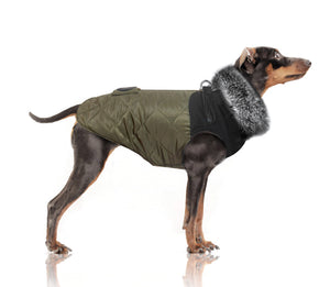 Harness Coat for Dogs
