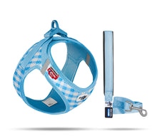 Load image into Gallery viewer, Puppy harness set with leash in two colours
