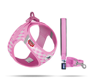 Puppy harness set with leash in two colours