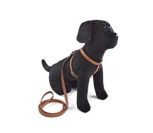 Puppy Harness Set - harness and leash in a set - for small four-legged friends and puppies