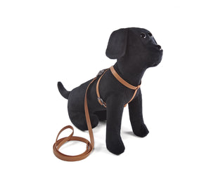 Puppy Harness Set - Geschirr & Leine im Set - für kleine Vierbeiner und Welpen