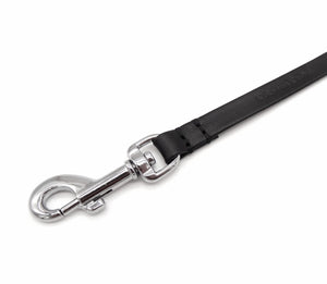 Puppy leash - for small four-legged friends and puppies