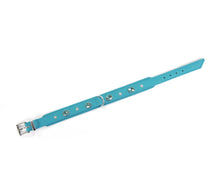 Load image into Gallery viewer, KvK Handcrafted - Classic Curved Collar - Bling Turquoise
