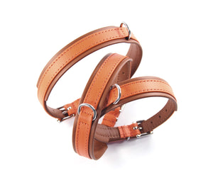 KvK Klassik Halsband Curved - French Orange Edition