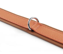 Load image into Gallery viewer, KvK Classic Collar Curved - French Orange Edition
