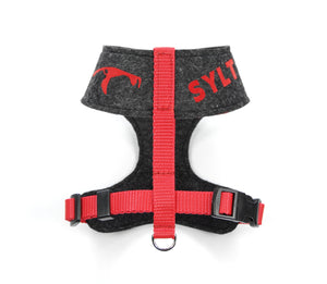 Handcrafted - felt dog harness