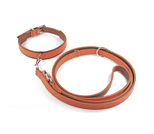 KvK Classic Collar Curved - French Orange Edition