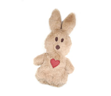 Load image into Gallery viewer, Cuddly bunny with heart

