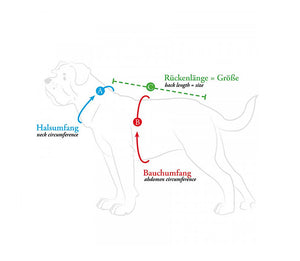 Schicke Hundejacke mit guter Passform - auch für Mops, Bully & Co.