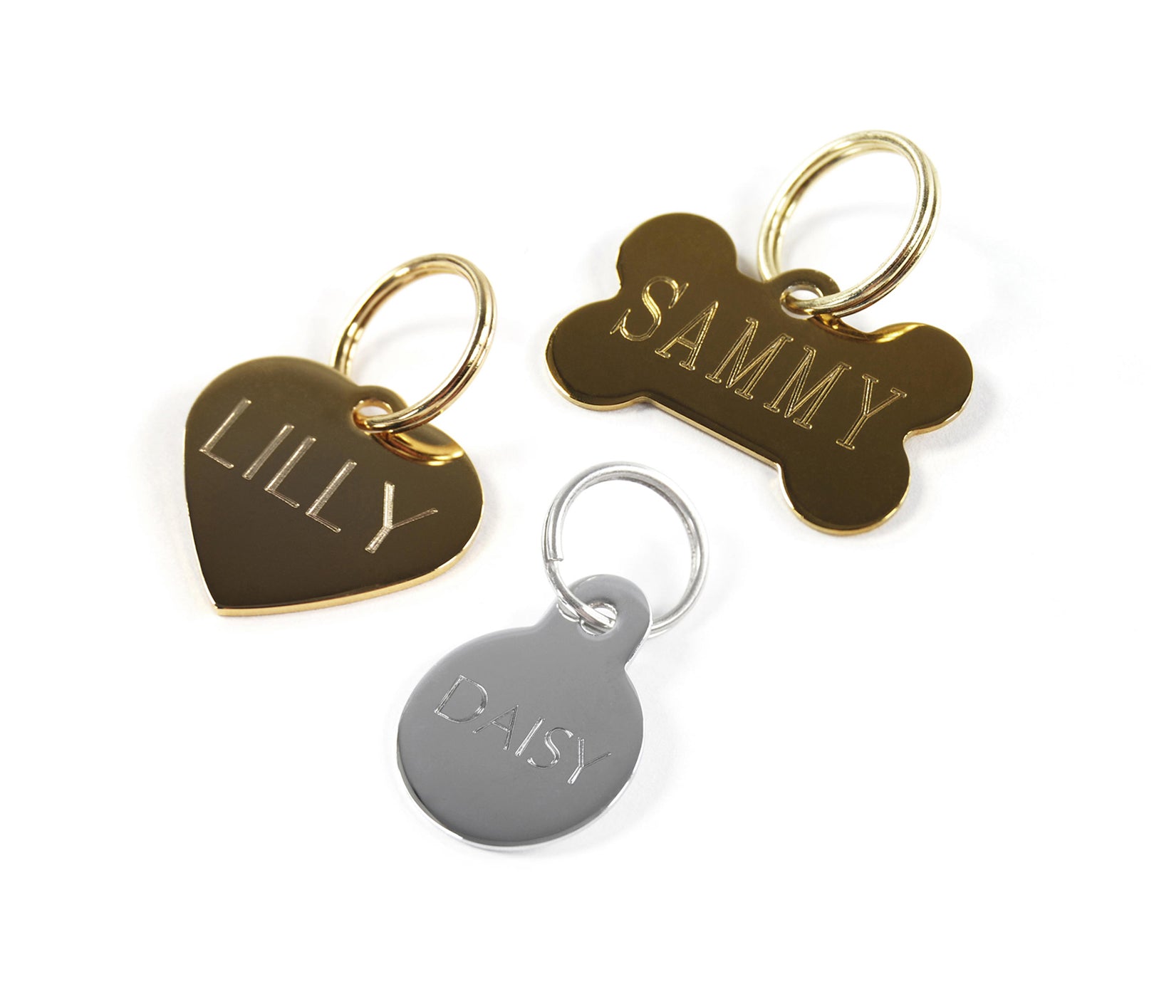 Stylish hotsell dog tags