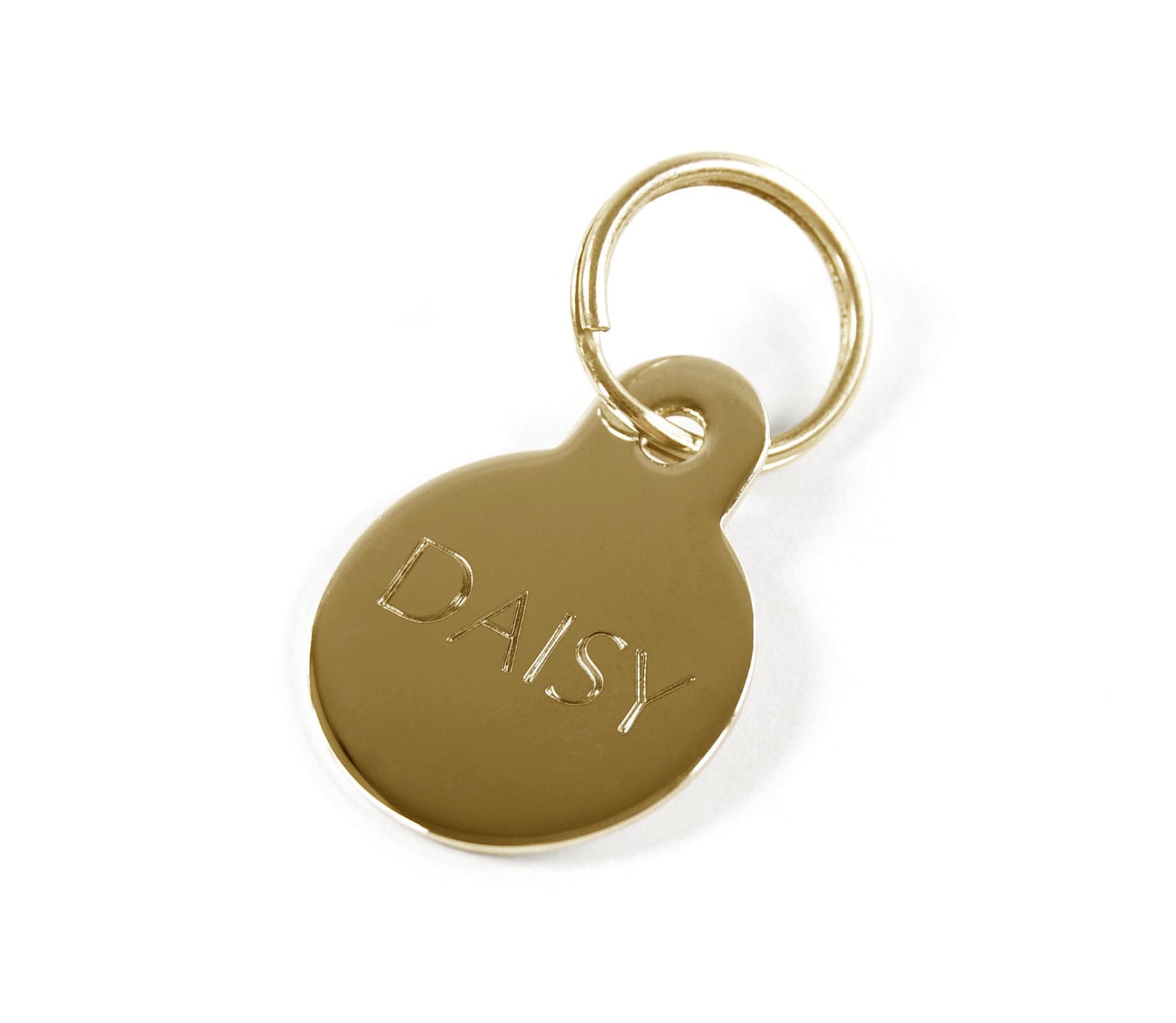 Stylish outlet dog tags