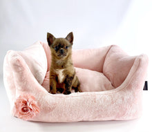 Laden Sie das Bild in den Galerie-Viewer, Super Soft Dog Lounge mit angesagtem Leo Design
