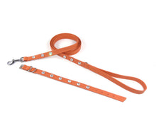 Load image into Gallery viewer, Ottos Puppy Set - collar &amp; leash set - for small four-legged friends and puppies
