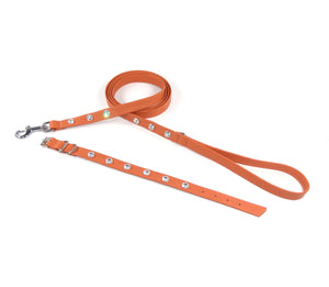 Ottos Puppy Set - collar &amp; leash set - for small four-legged friends and puppies