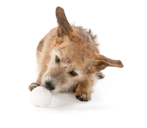 Planet Dog Toys - Sports Golf Ball - Hundespielzeug