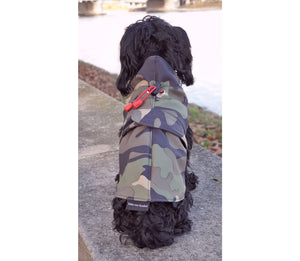 Raincoat for dogs - KvK Edition Camo