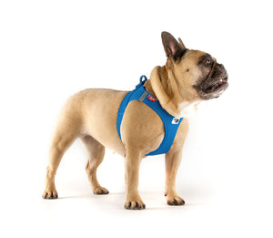 Vest Harness Air-Mesh in div. Farben