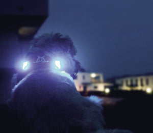 luumi - LED safety lights